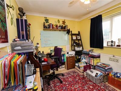 Picture 8